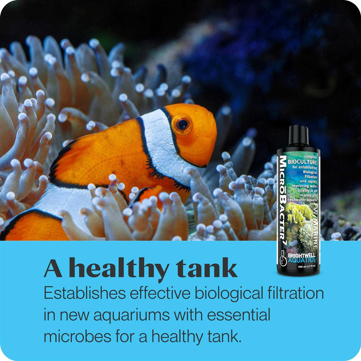 1 Liter MicroBacter7 Z643321