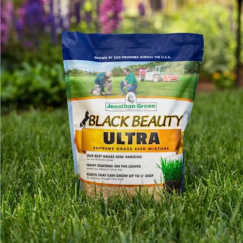 Black Beauty Ultra Grass Seed Cool Season Lawn Seed 25 lb Z1637