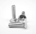 5/16x22-18 x 5 1/2x22 Coarse Thread Stainless Steel Carriage Bolt Pk 50 R229