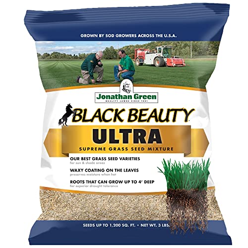 Black Beauty Ultra Grass Seed Cool Season Lawn Seed 25 lb Z1637