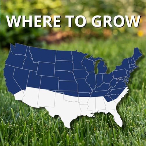 Black Beauty Ultra Grass Seed Cool Season Lawn Seed 25 lb Z1637