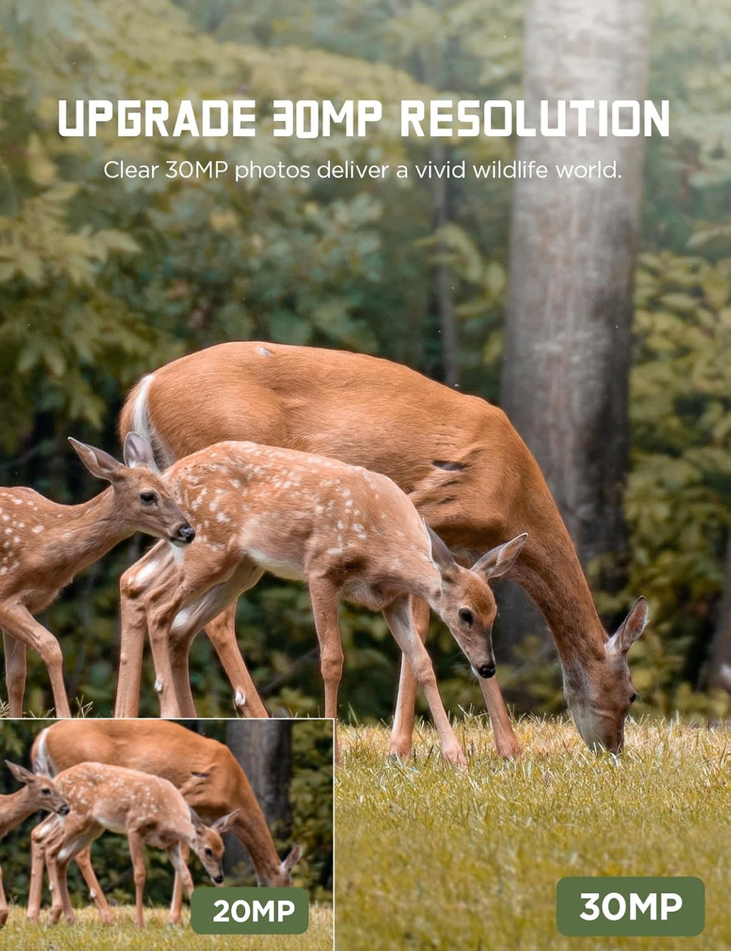 30MP 1080P Trail Camera with Low Glow IR LEDs Night Vision Motion Activated IP66 Waterproof J166