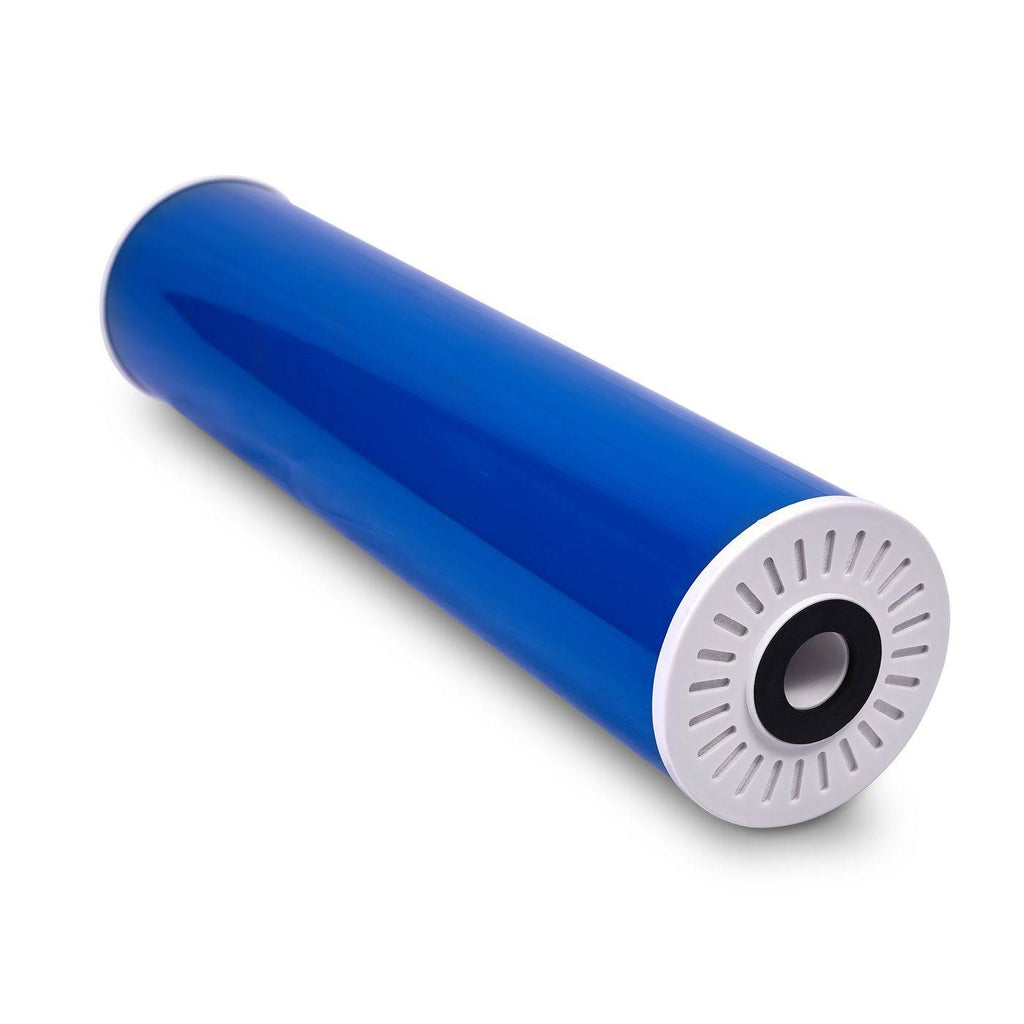 20 inch Whole House Water Filter with GAC Cartridge E520662