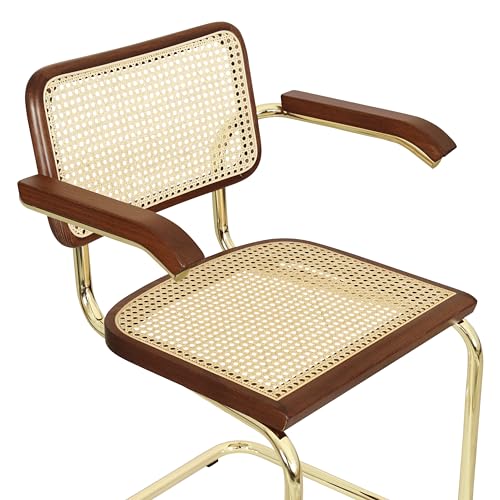 Black Cane Cantilever Armchair with Brass Steel Frame K44475