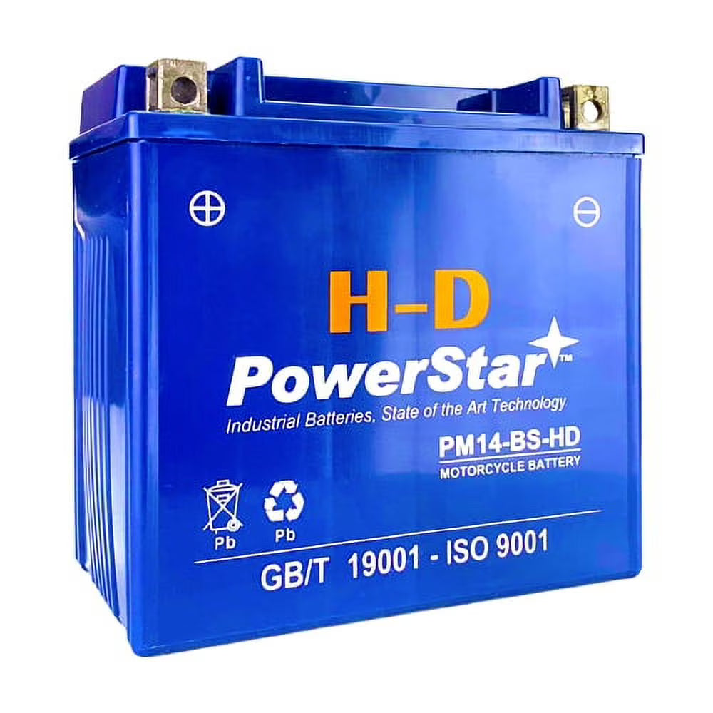 12V 14Ah Battery for Triumph 955 cc 2002 Tiger Motorcycle D5930