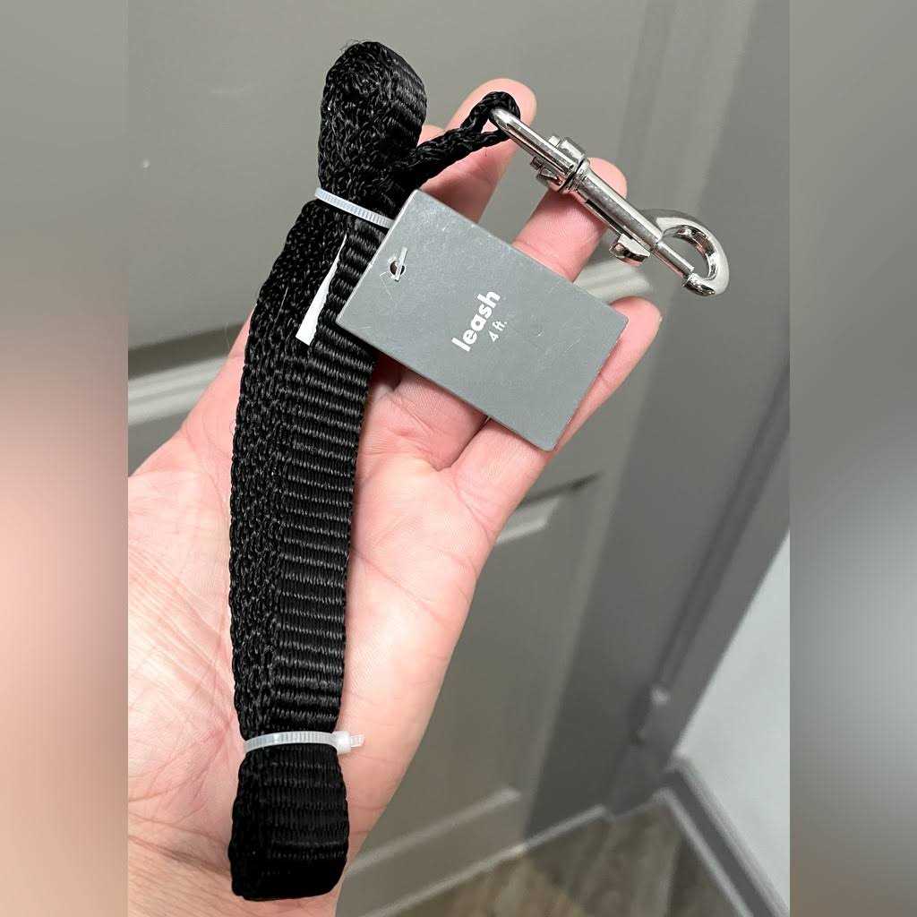 4' Metal Standard Dog Leash P438961