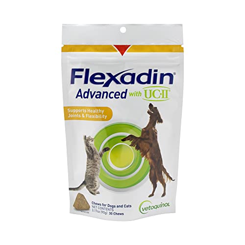 Dog Hip and Joint Supplement Chew with UC-II Collagen, 30 Chews X9535