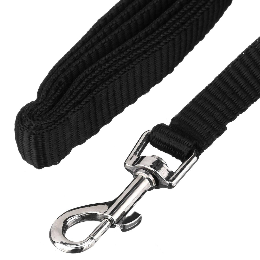 4' Metal Standard Dog Leash P438961