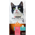 Salmon & Rice Formula Dry Cat Food U613513