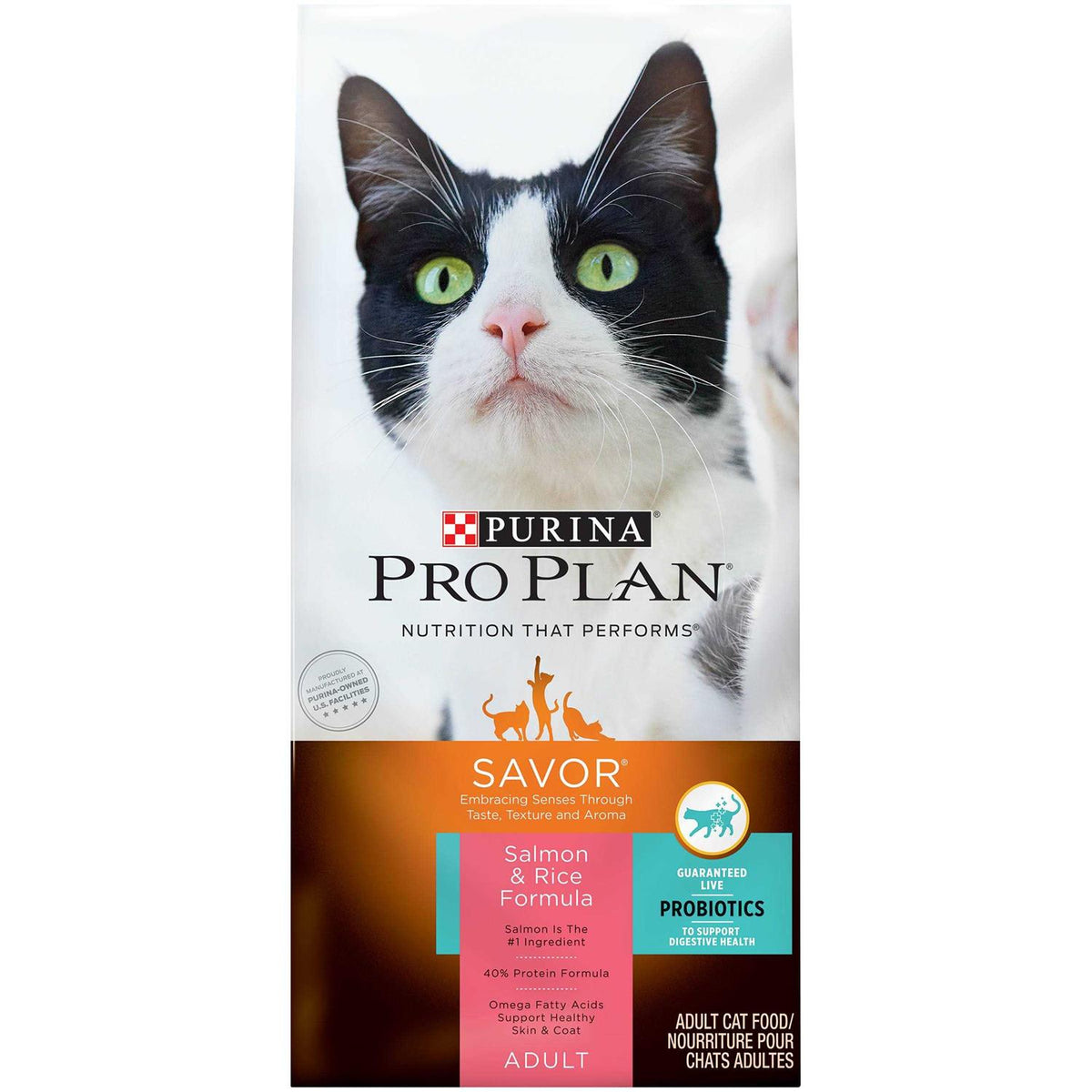 Salmon & Rice Formula Dry Cat Food U613513