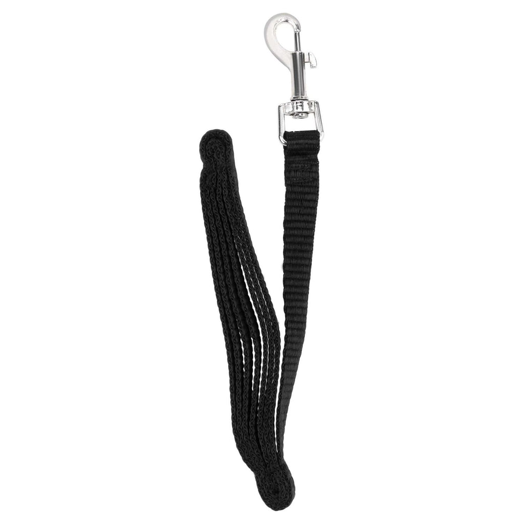 4' Metal Standard Dog Leash P438961