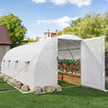 20x10x7ft Heavy Duty Walk-in Greenhouse Y934395