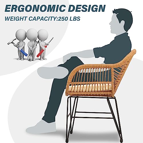 3 Piece Wicker Patio Set B986