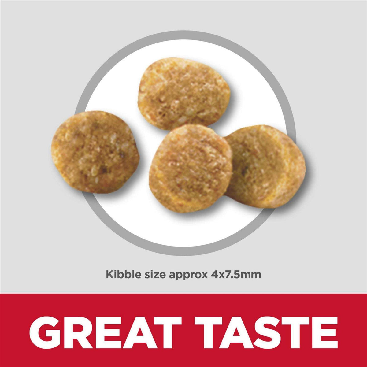 Chicken Meal & Barley Dry Dog Food X363385
