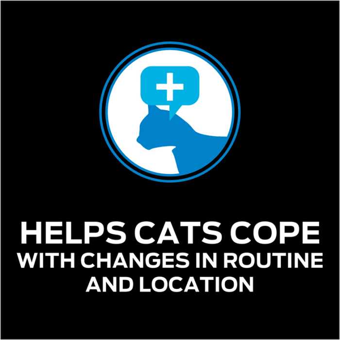Cat Supplement Q291