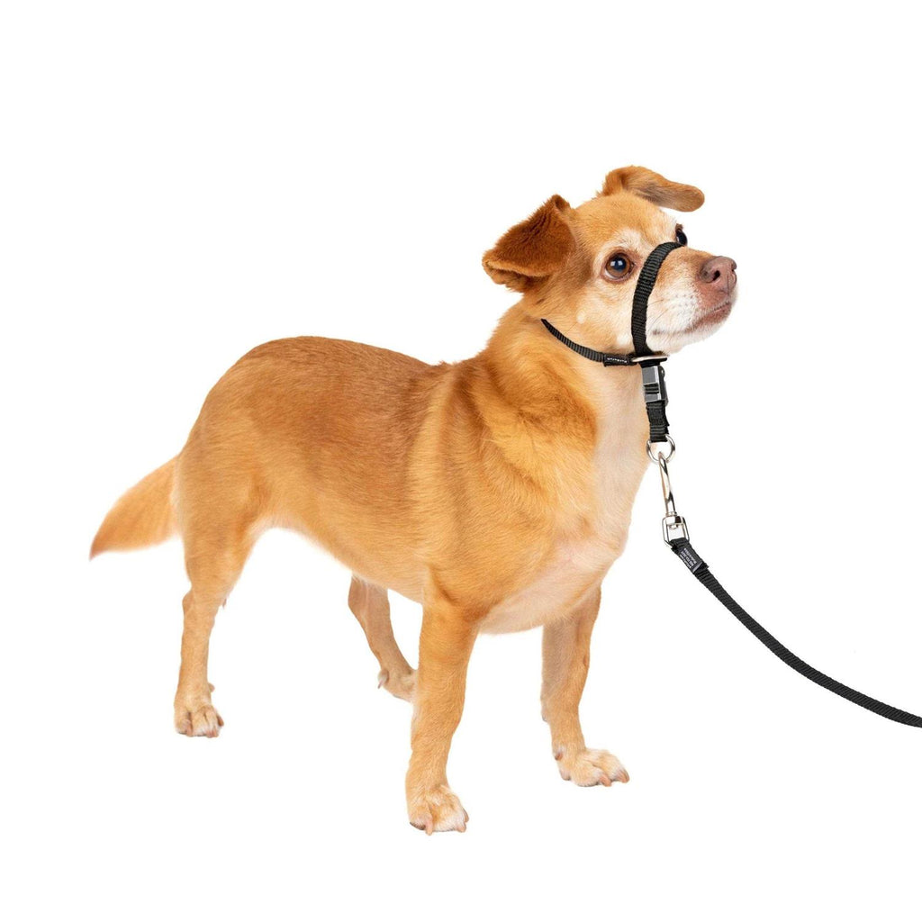 Headcollar L672
