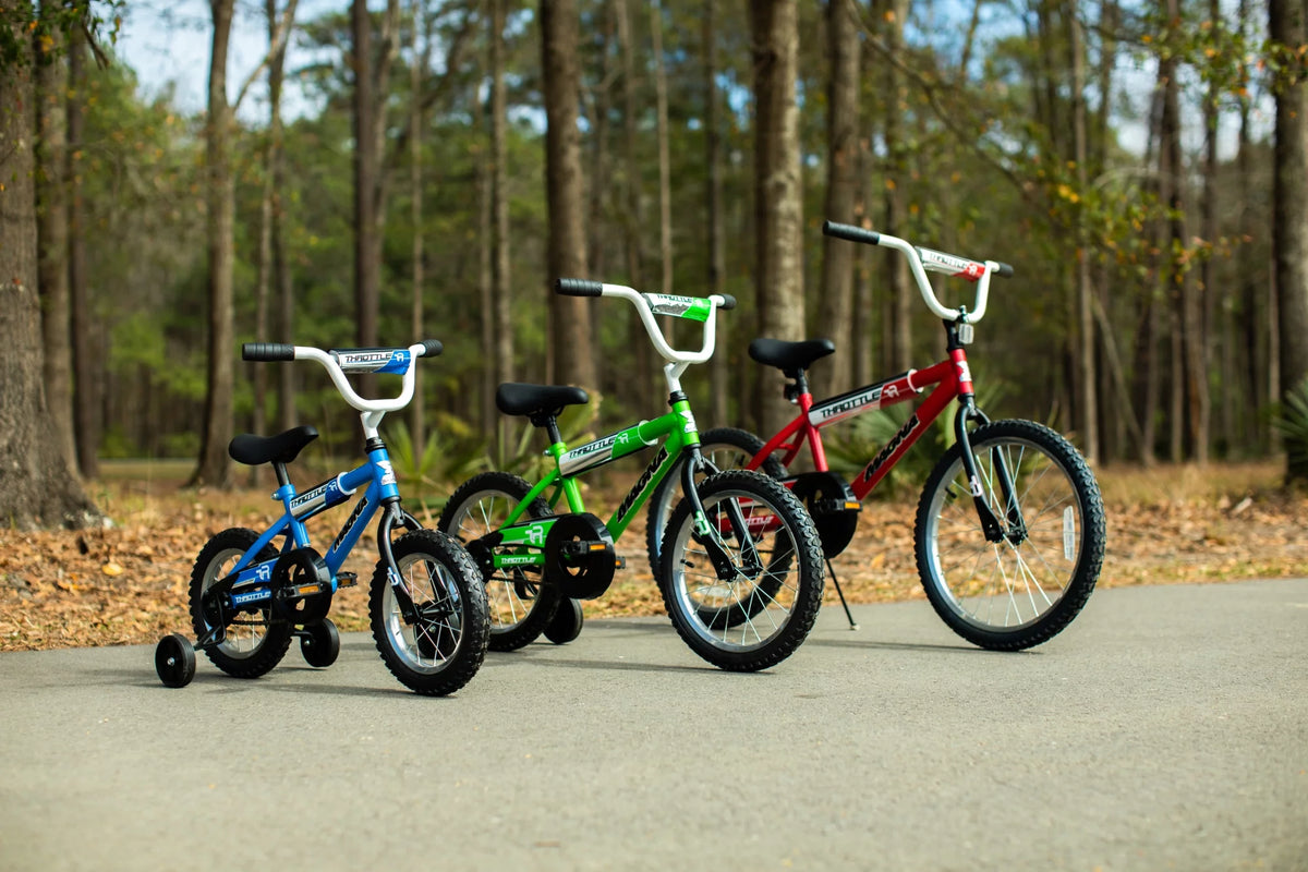 20-Inch BMX Bike G8071