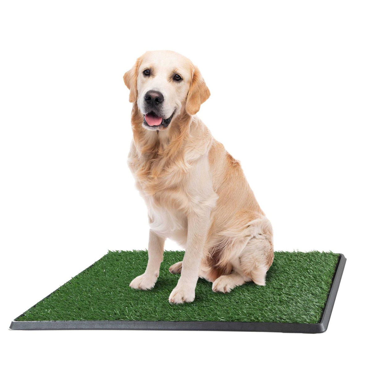 Artificial Grass Dog Potty Pad with Tray G238