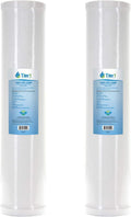 25 Micron 20 x 4.5 Radial Flow Granular Activated Carbon Block Water Filter 2-Pack C745