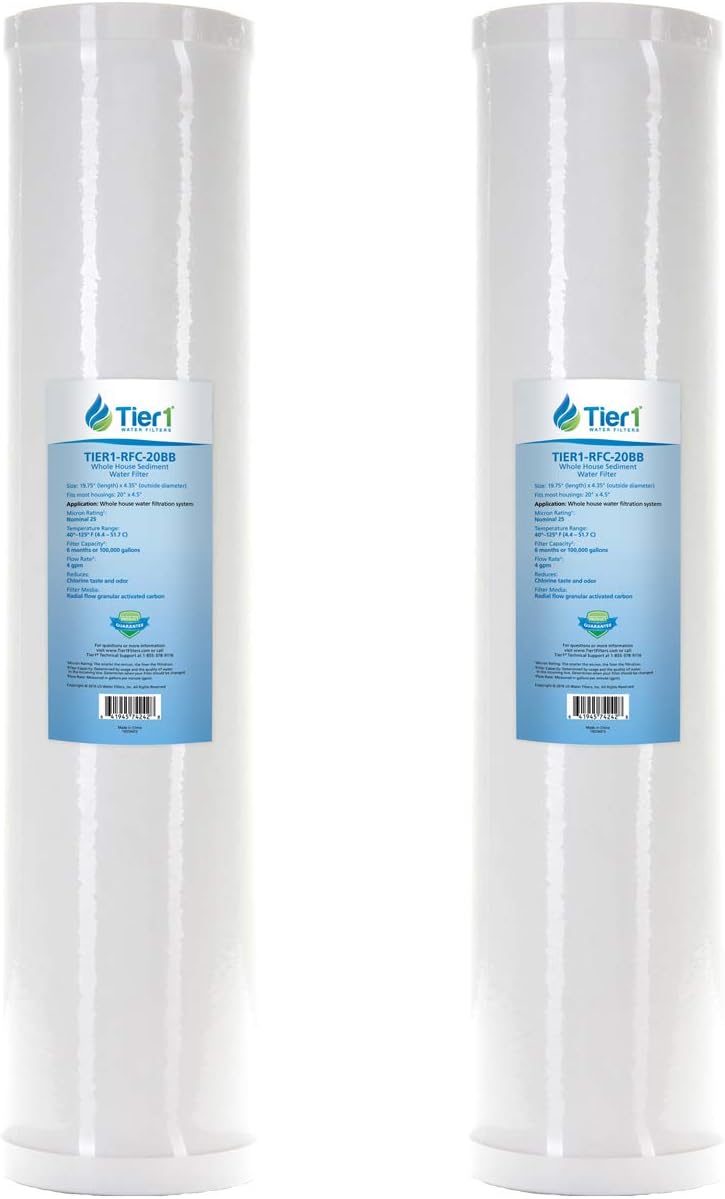25 Micron 20 x 4.5 Radial Flow Granular Activated Carbon Block Water Filter 2-Pack C745