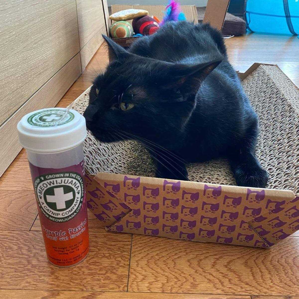 Catnip H529809