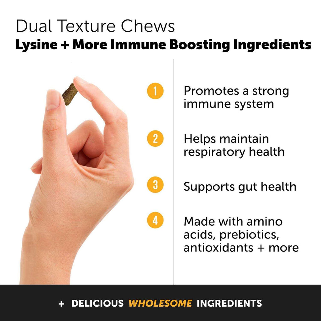 Cat Immune Support Chews K2602
