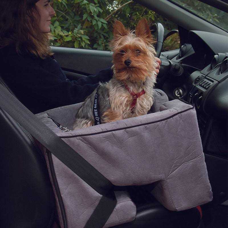 Booster Car Seat D637004