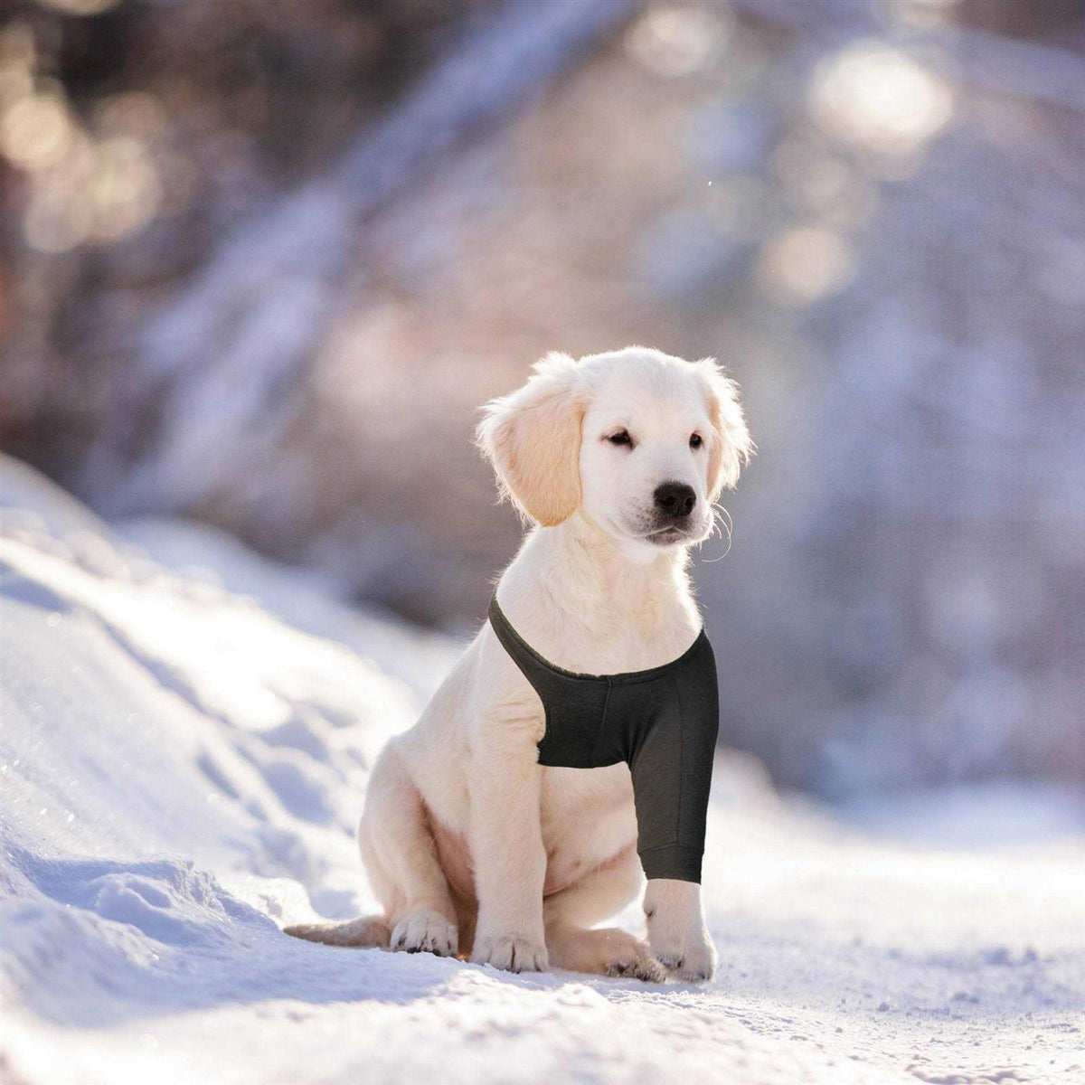 Dog Recovery Sleeve C215