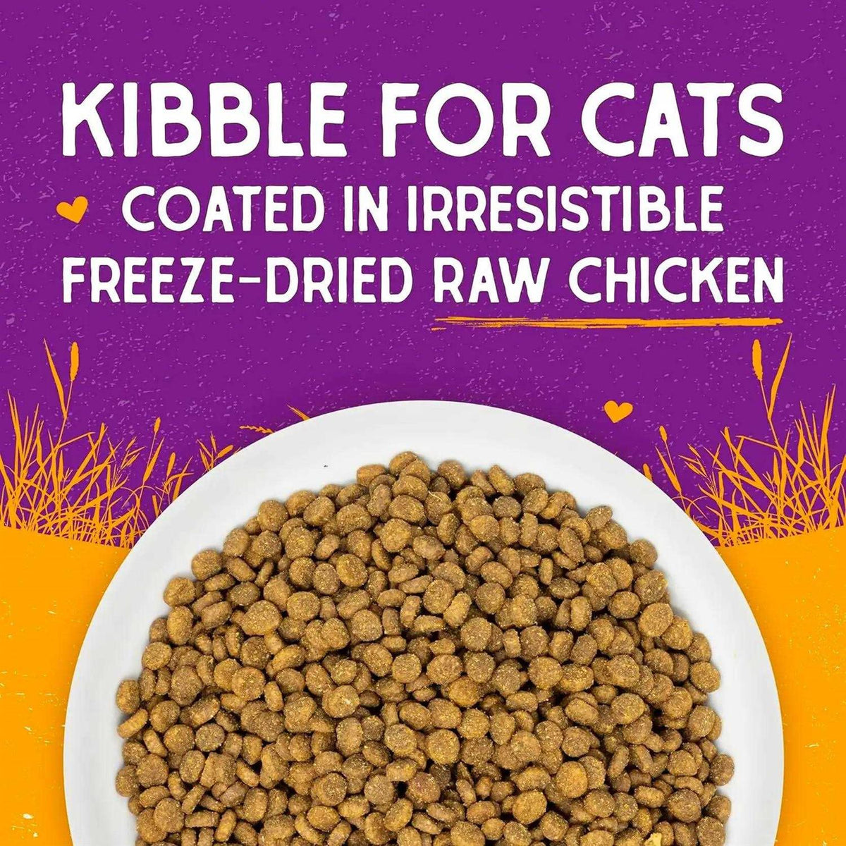 Dry Cat Food V265716