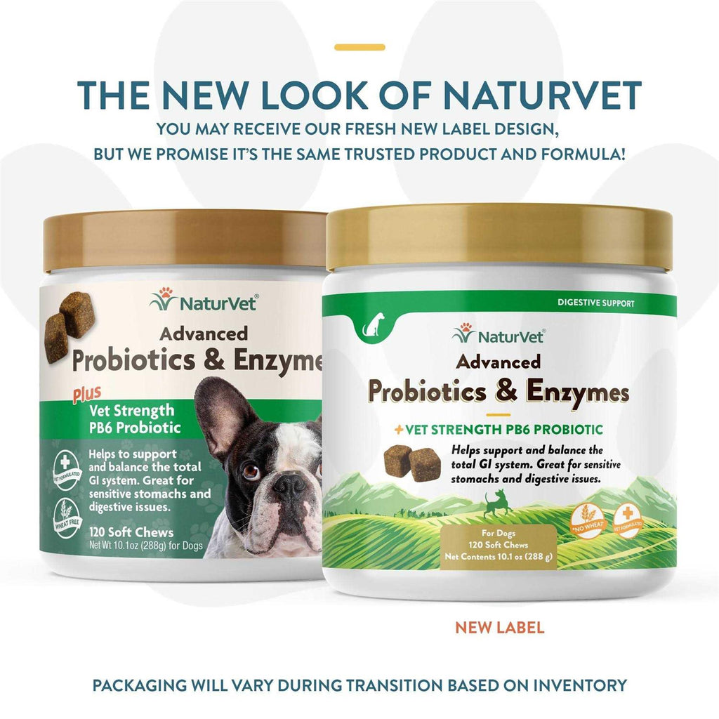 Probiotics & Enzymes Soft Chews I7609
