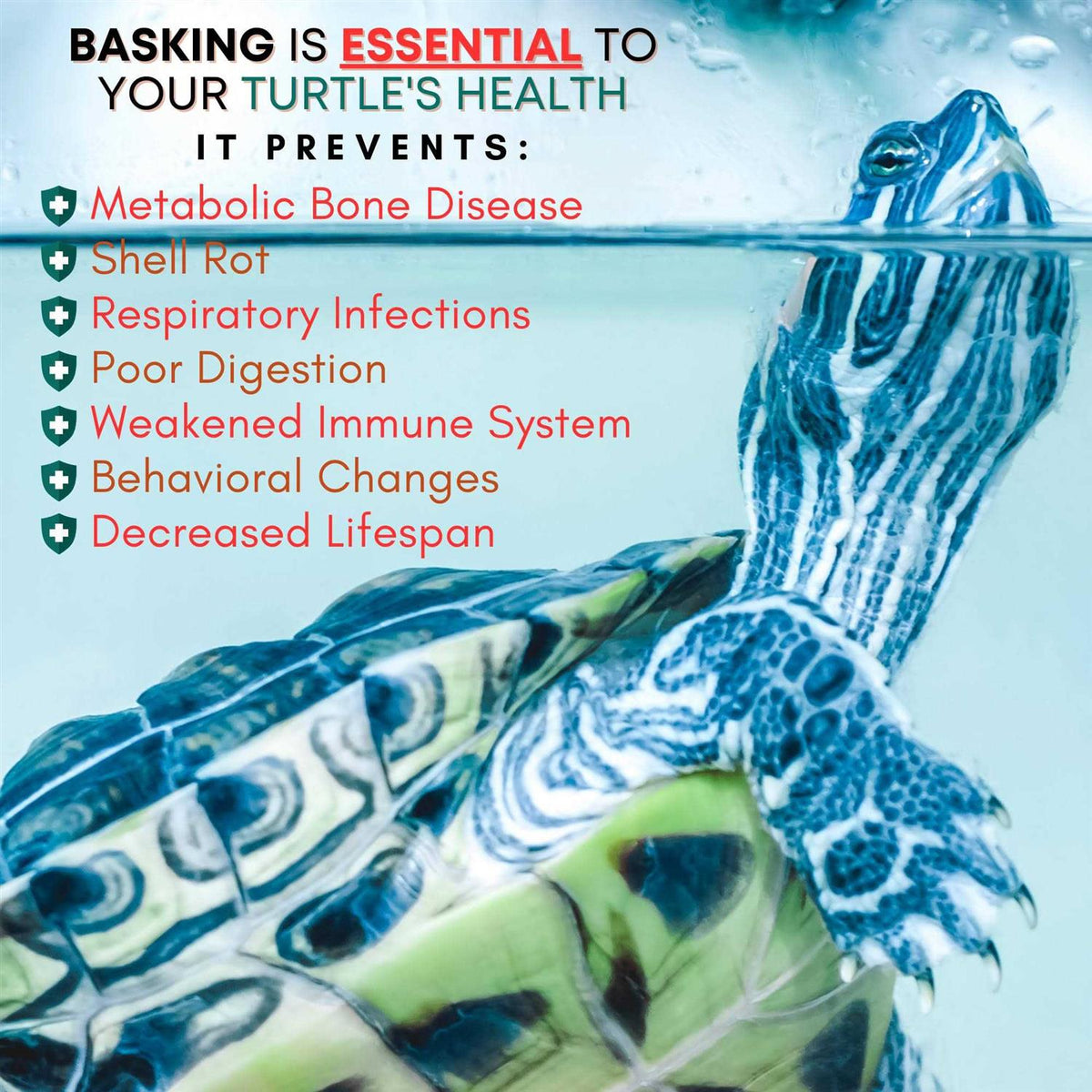 Extra Large Wide Hanging Turtle Basking Platform 17×16 Aquatic Reptile Ramp Dock with Foot Grips B45678