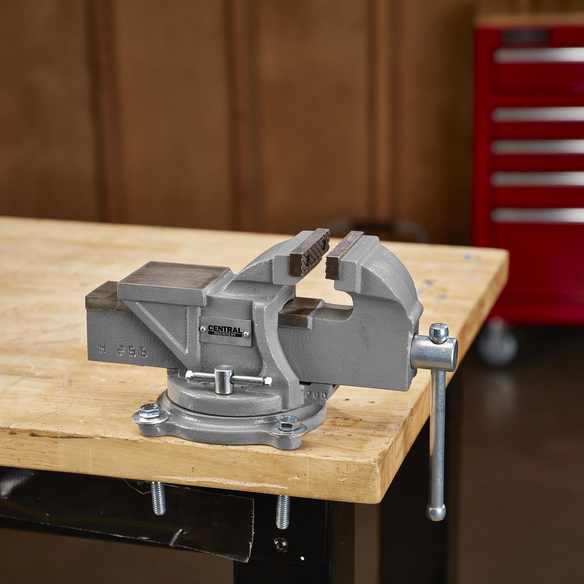 3 in. Swivel Vise with Anvil F62933