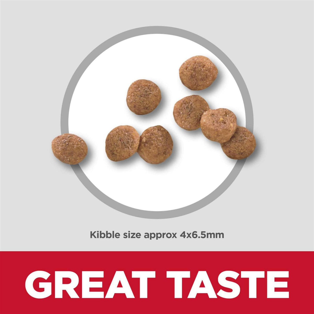 Dry Dog Food M862582