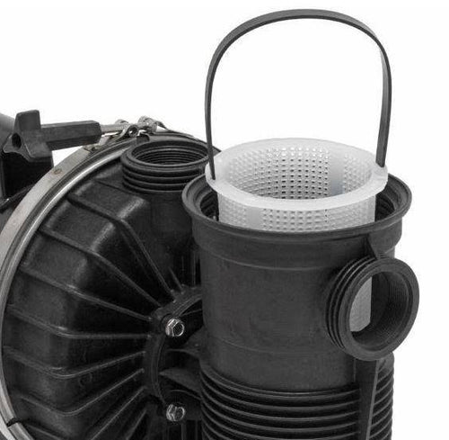 1.5 HP High Pressure Pump N9445