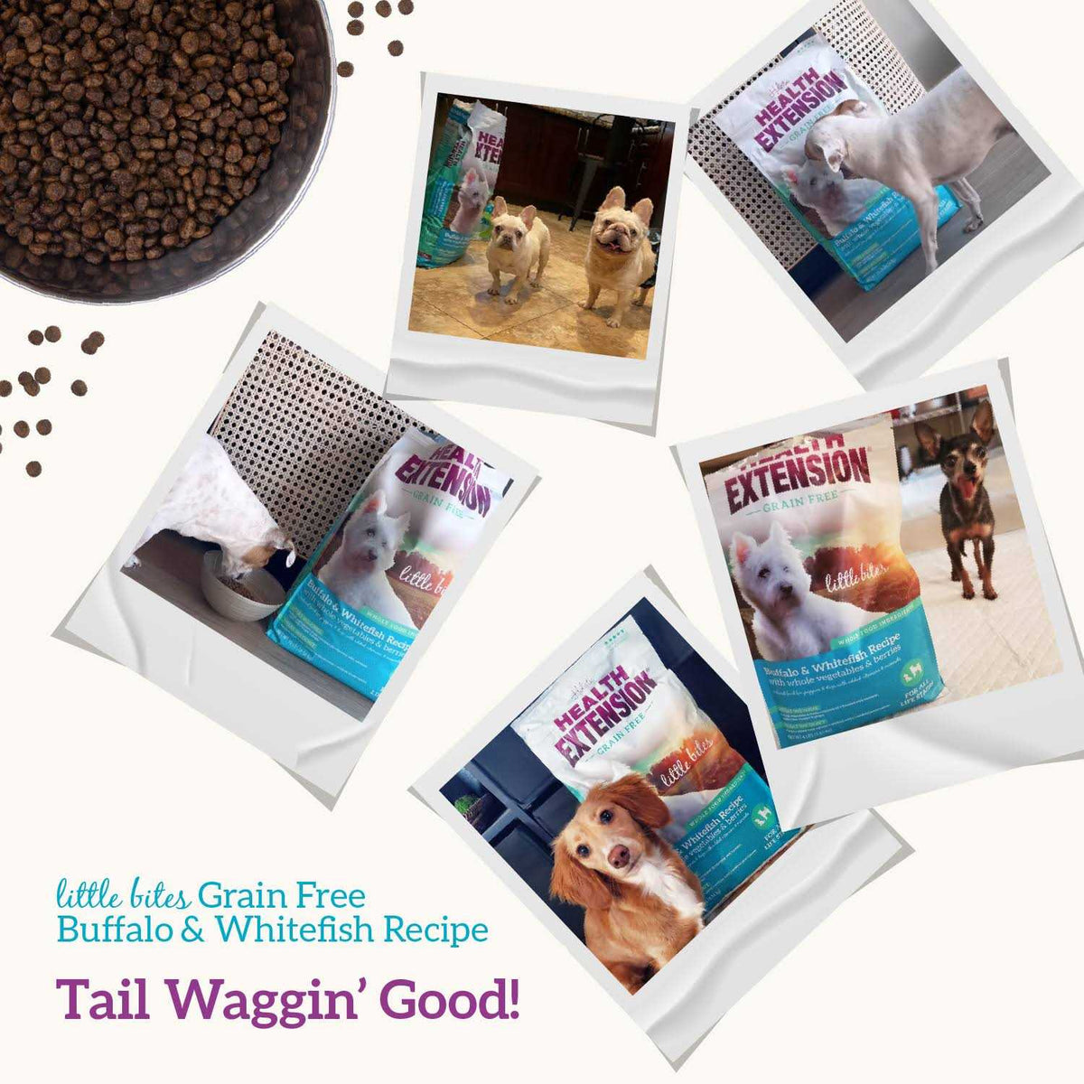 Grain Free Buffalo & Whitefish Dry Dog Food P55916