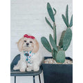 Adjustable Dog Harness D74741